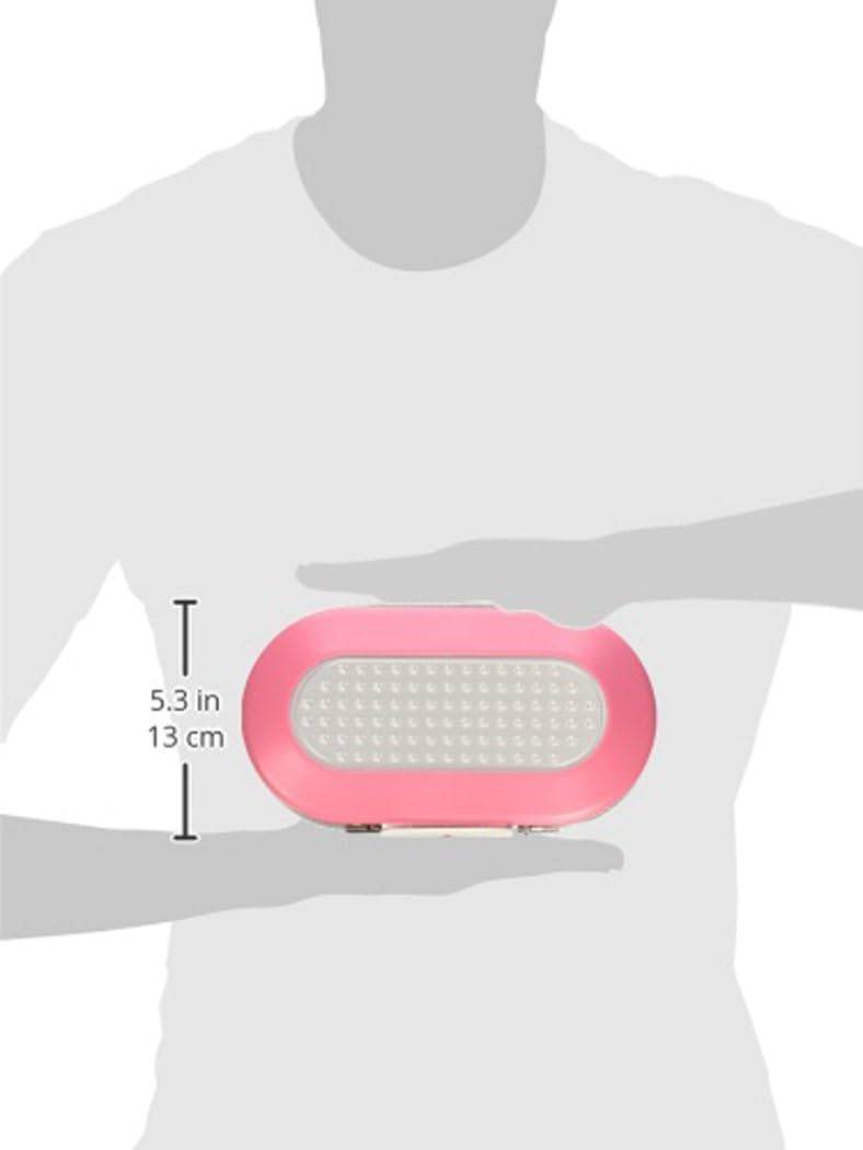 Master Lock (Pink) - Personal Safe, Set Your Own Combination Portable SafeSpace, 23cm - 1.3cm Wide, Pink, 5900DPNK