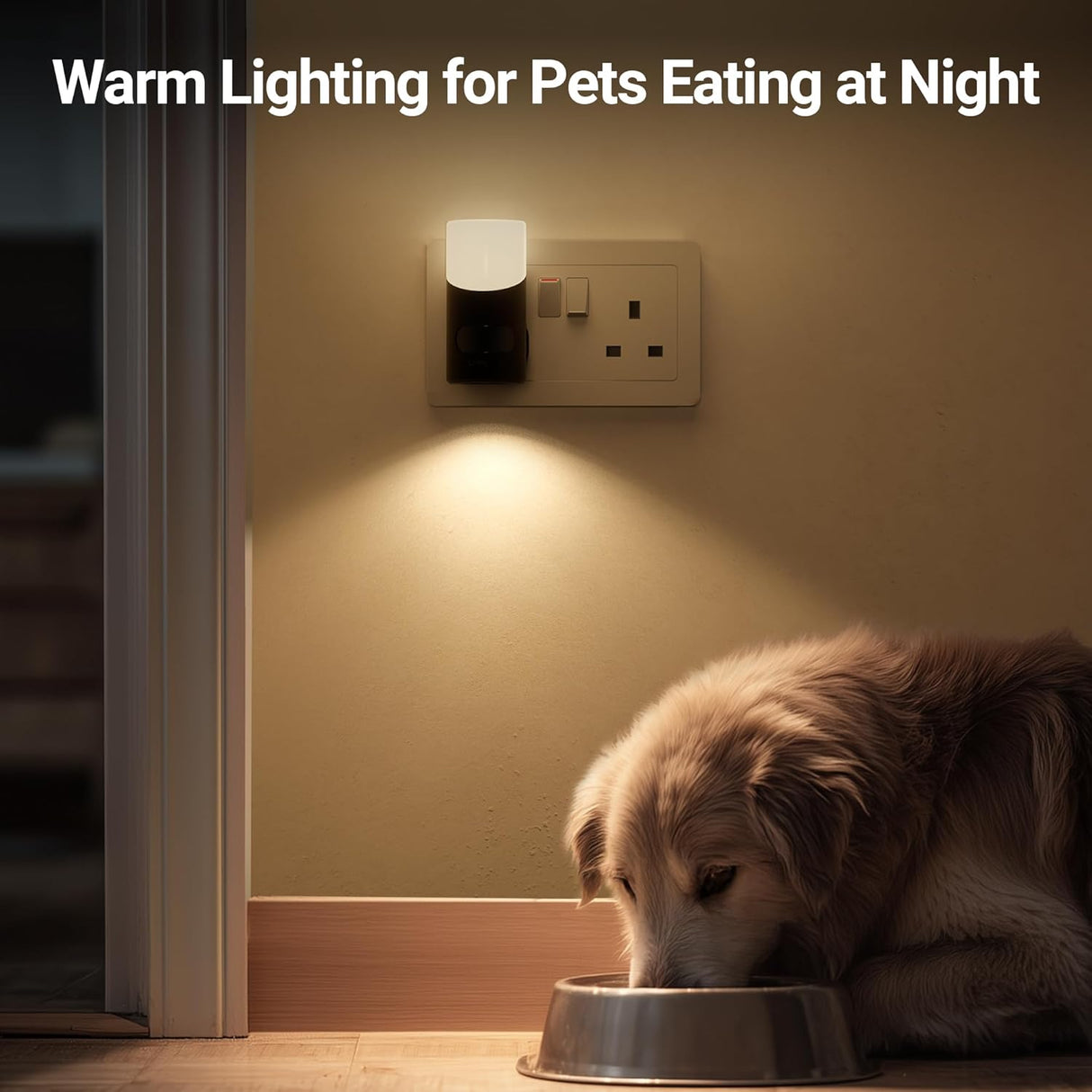 Lyridz Night Light Plug in Wall with Motion Sensor Up-and-Down Glowing, Smart Dimmable Warm White Motion Sensor Night Light Ideal for Hallway Bedroom Stairs Washbasin, 2 Pack
