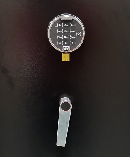 Format Gun Safe DL12W – 60 Min Fire Rated, S&G Electronic Lock, Black