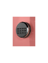 Shinjin Safe Tech Vogo Safes VGF-1140, DESERT FLOWER