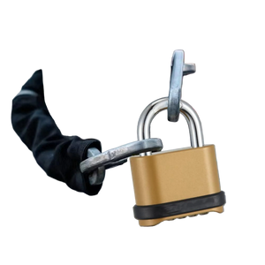Azonee 4-Digit Combination Padlock, Heavy Duty Outdoor, Brass Finish