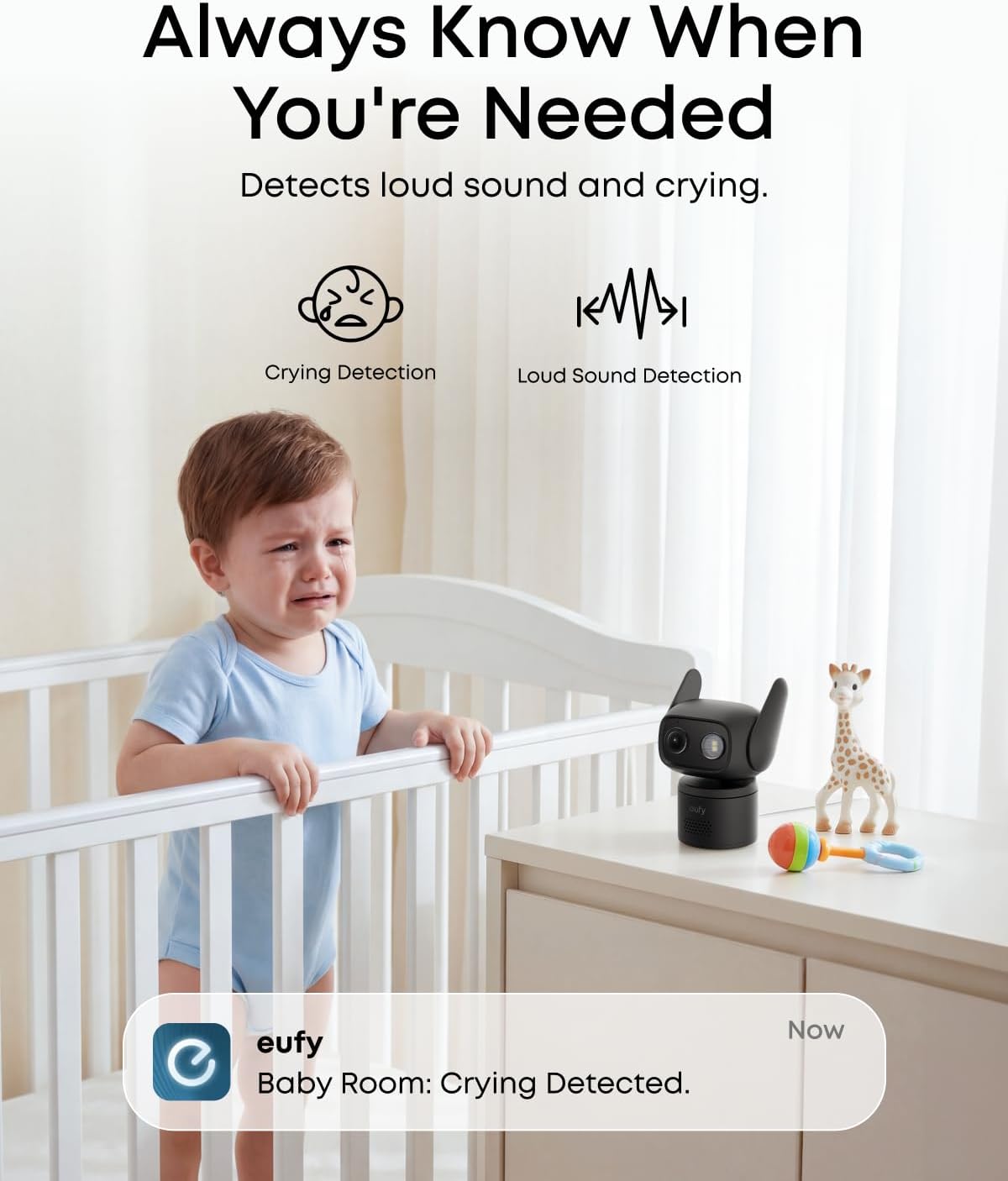 eufy Wired Cam C31,360° Coverage with Pan and Tilt,Indoor and Outdoor,Dual Antenna,Colour Night Vision,Subscription-Free,AI People/Vehicle/Pet/Crying Detection, 24/7 Recording,Black (Black, Solo)