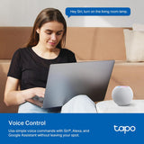 Tapo P110M Mini Smart Wi-Fi Plug, Energy Monitoring, Matter Certified