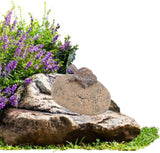 Zerodis Tortoise Stone Resin Fake Rock Key Hider (12.2cm)