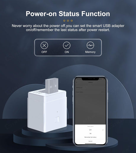 UanTii Smart Adapter Tuya Wifi USB Adapter Timing Schedule Adapter Smart Plug Woks with Smart Life App,Woks with Alexa and Google Home (1 gang)