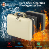 DocSafe Fireproof File Organizer with Lock, Green, 15.55 x 3 x 11.5 inches, Hard-Shell Fireproof File Organizer