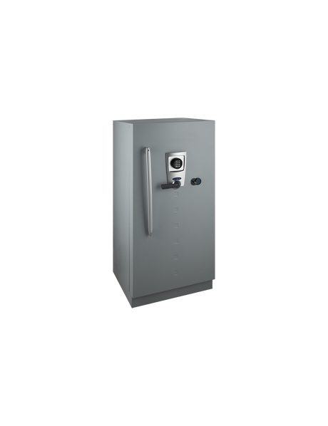 Fichet Bauche Diva Data Cabinet Grade S2 M-250 UAE