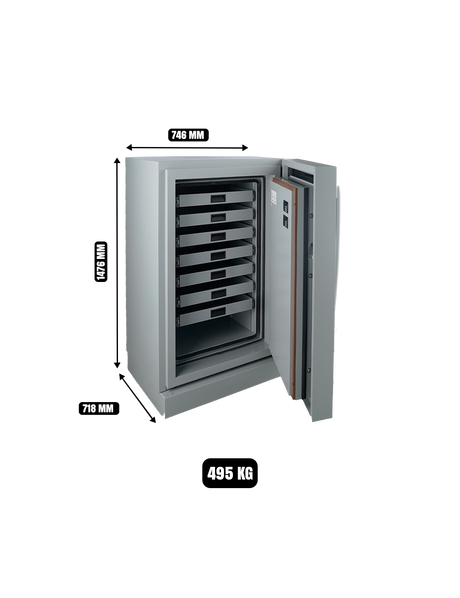 Fichet Bauche Diva Data Cabinet Grade S2 M-250 UAE