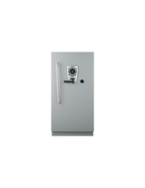 Fichet Bauche Diva Data Cabinet Grade S2 M-250 UAE