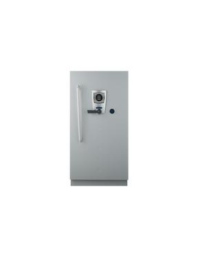 Fichet Bauche Diva Data Cabinet Grade S2 M-250 UAE