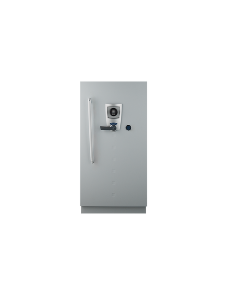 Fichet Bauche Diva Data Cabinet Grade S2 M-250 UAE