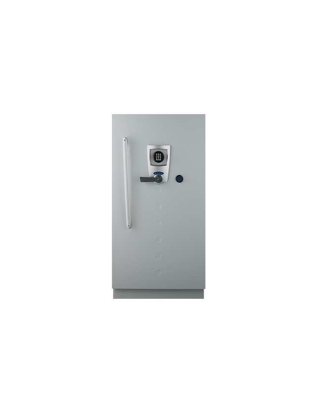 Fichet Bauche Diva Data Cabinet Grade S2 M-250 UAE