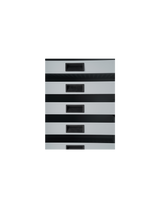 Fichet Bauche Diva Data Cabinet Grade S2 M-250 UAE