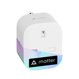 Meross Matter Smart Plug Mini with Energy Monitoring, Works with Apple HomeKit, Alexa, Google Home, SmartThings, WiFi Plug with Voice Remote Control, 13A, 1 Pack