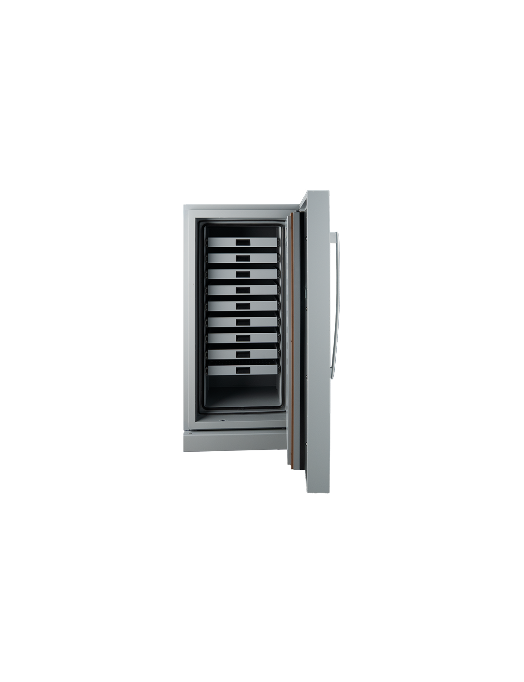 Fichet Bauche Diva Data Cabinet Grade S2 M-250 UAE