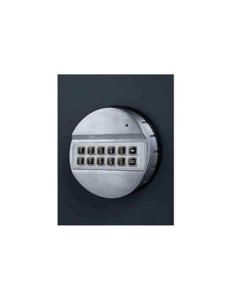 Home Safe S2 30P