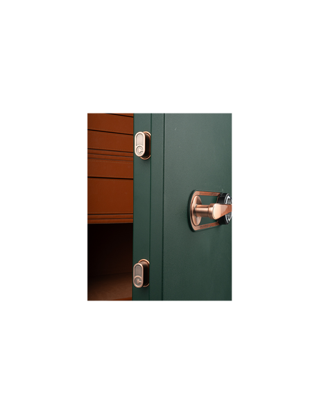 Chubbsafes Regal Safes, M-110 Premium UAE | Axon Business Systems